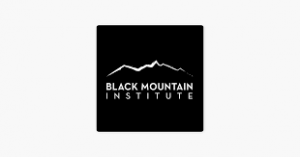 Black Mountain Institute (BMI)